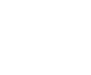 swastikvedic white logo